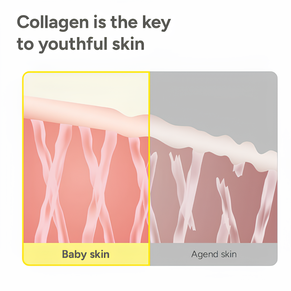 VERSULE - Deep Collagen Cream In Serum